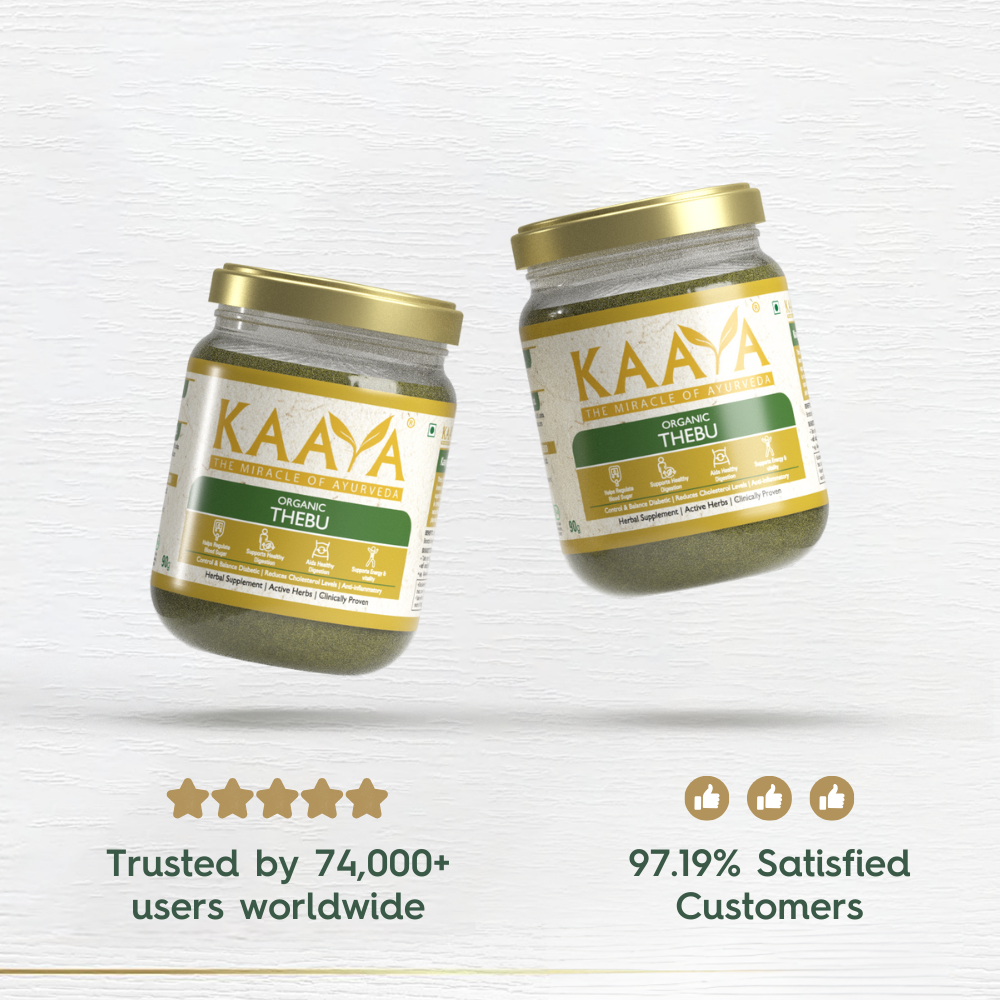 Organic Thebu Powder for Diabetes Control, Cholesterol Balance & Daily Vitality | Dept. of Ayurveda Approved (90g)