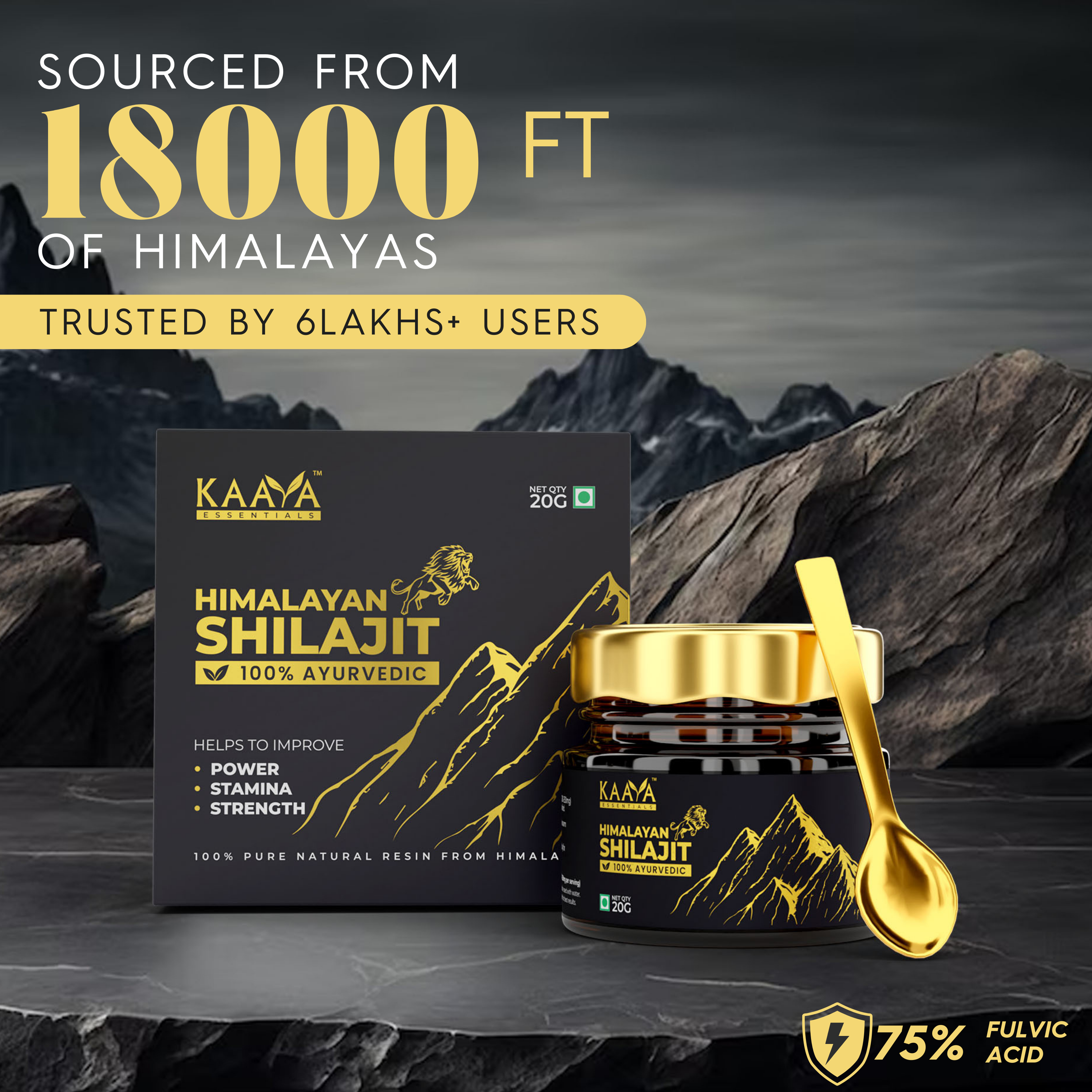 100% Pure Himalayan Shilajit Resin - 20 Gms + Himalayan Shilajit Gold with Swarna Bhasma & Ashwagandha for Extra Strength, Stamina, Improves Endurance & Builds Muscle Mass (60 Capsules) (Combo)