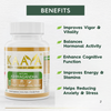 Himalayan Shilajit Gold + Ashwagandha Capsules for Extra Strength, Stamina, Improves Endurance, Builds Muscle Mass Vitality, Anxiety and Stress Relief (Combo)